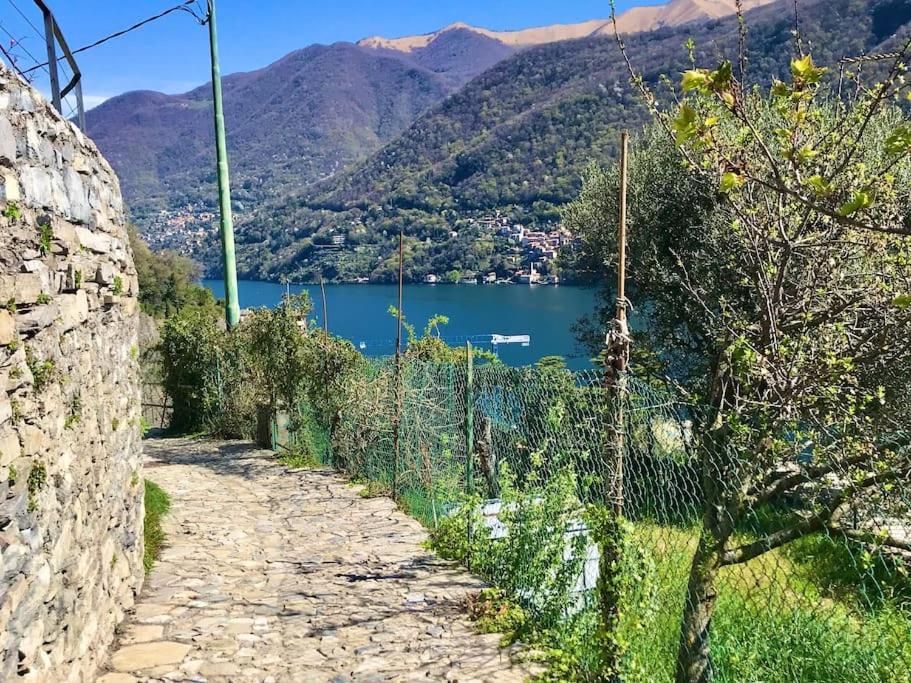 Romantic Home Stone With Amazing View Lake Of Como And Oleandra Laglio Exterior foto